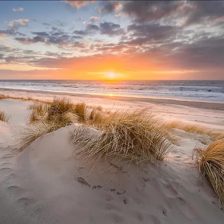 Modern & Cosy With Patio & Fenced Garden Near Dunes & * Koksijde