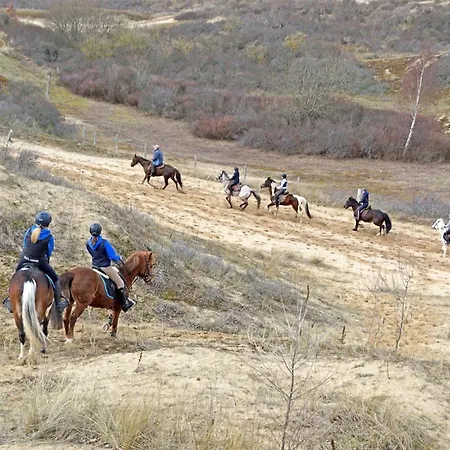 Modern & Cosy With Patio & Fenced Garden Near Dunes & * Koksijde