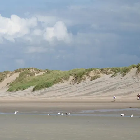 Modern & Cosy With Patio & Fenced Garden Near Dunes &