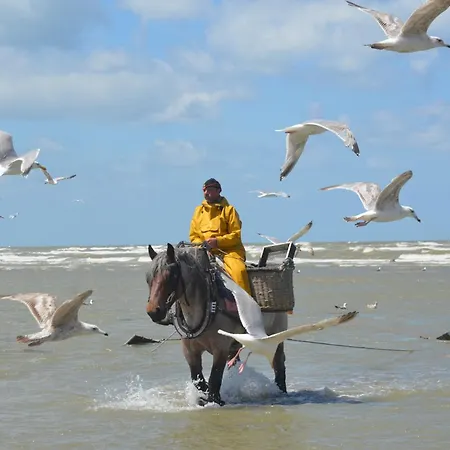 Сasa de vacaciones Modern & Cosy With Patio & Fenced Garden Near Dunes &