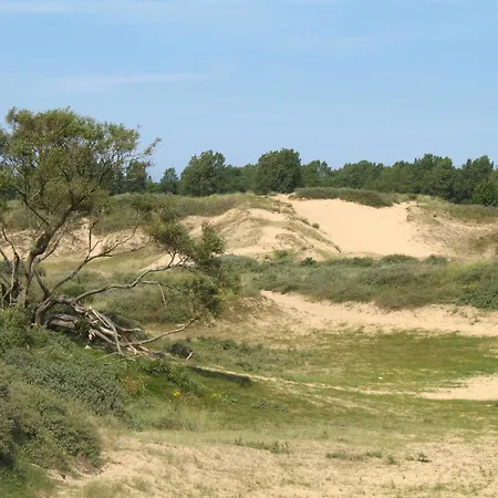 Modern & Cosy With Patio & Fenced Garden Near Dunes &