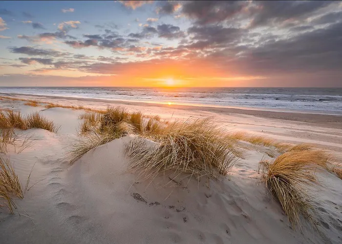 Modern & Cosy With Patio & Fenced Garden Near Dunes & * Koksijde